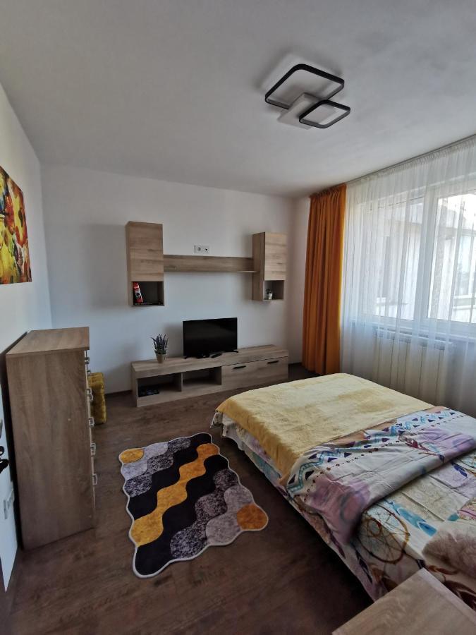 Apartament Asr Piatra Neamţ Zewnętrze zdjęcie