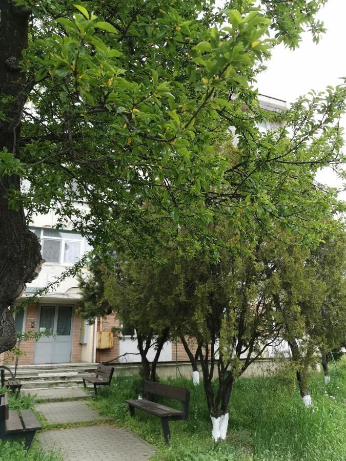 Apartament Asr Piatra Neamţ Zewnętrze zdjęcie