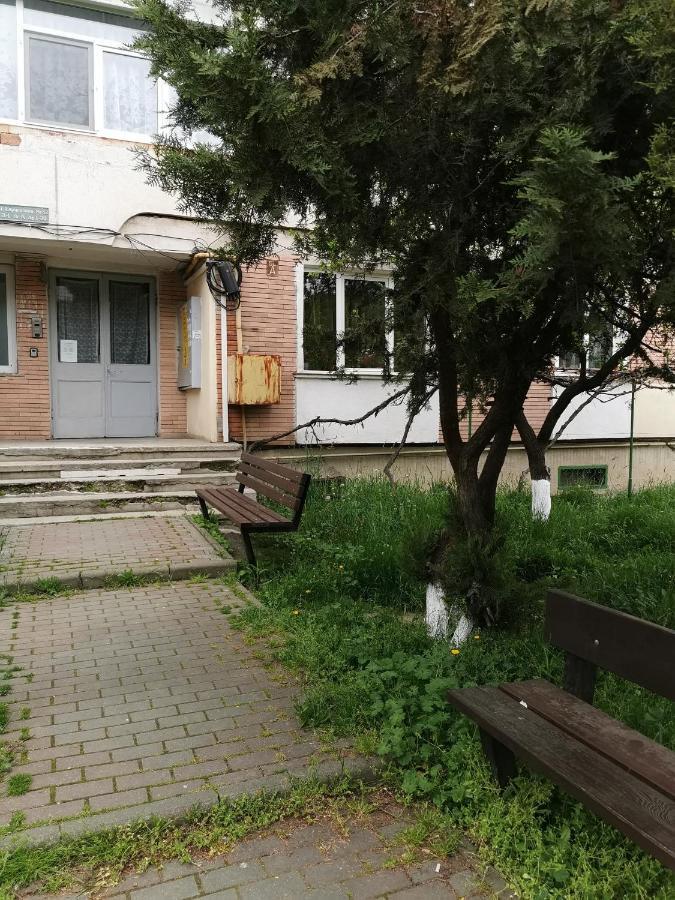 Apartament Asr Piatra Neamţ Zewnętrze zdjęcie